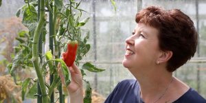 Diana Stek van 'Diana's Mooie Moestuin'