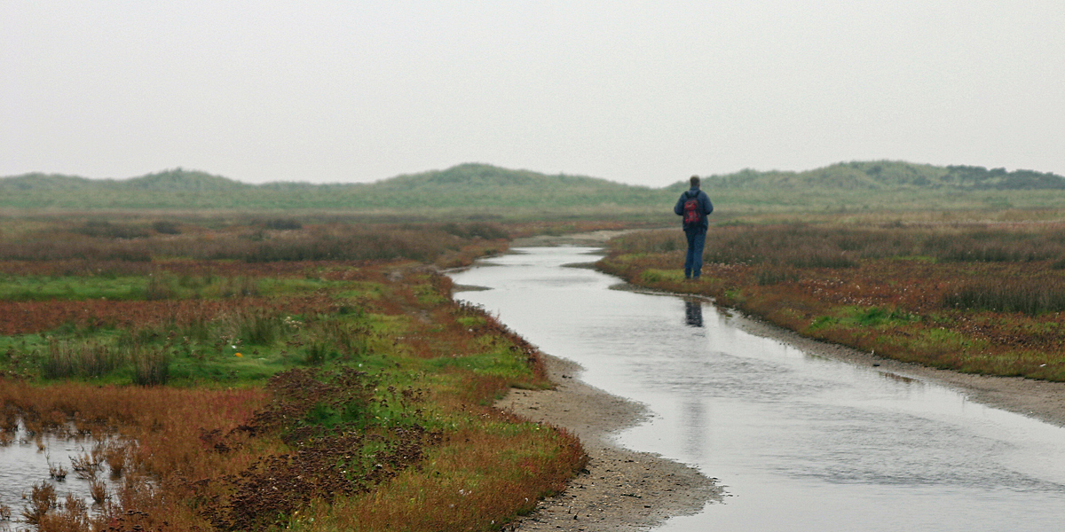 Wetland walker on Wadden island Terschelling
