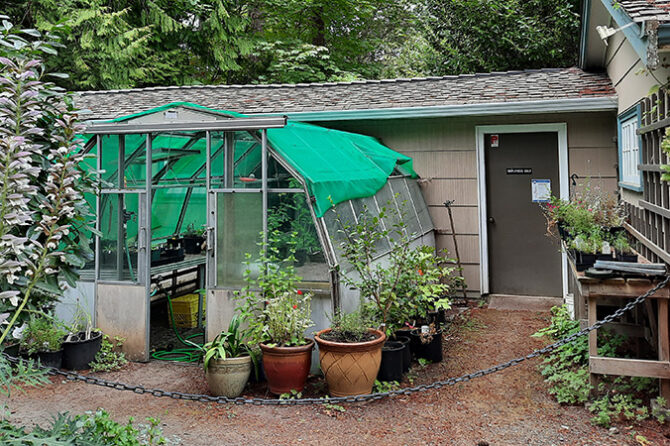 Gardener's cottage potting area at Milner Gardens and Woodland