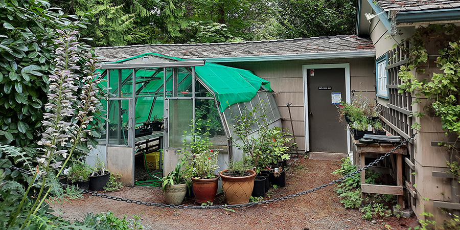 Gardener's cottage potting area at Milner Gardens and Woodland