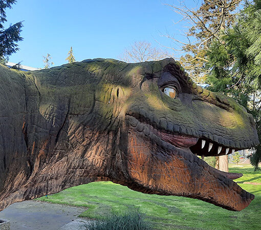 Beeld van Tyrannosaurus