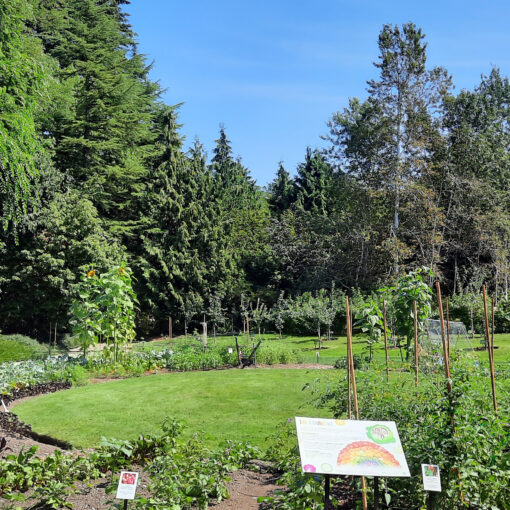 VanDusen Botanical Garden: view on the veg garden on a hot summer day.