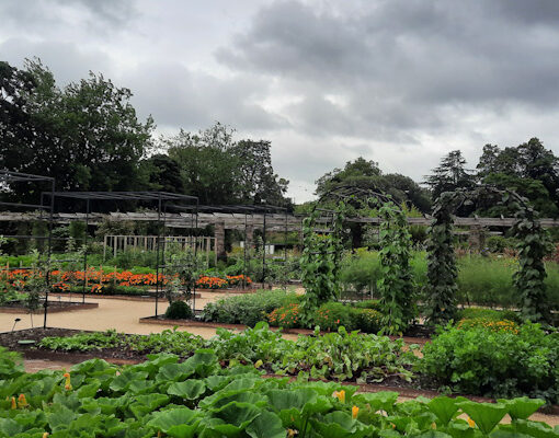 Kew's Kitchen Garden overview, July 2023