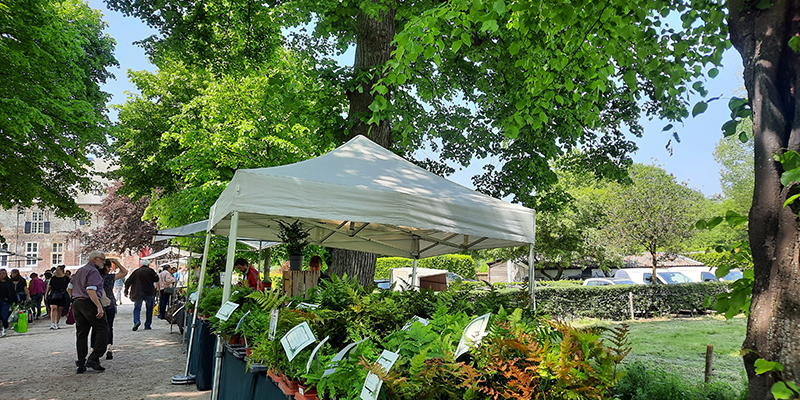 Kasteel Hernen tuinmarkt kraam met varens