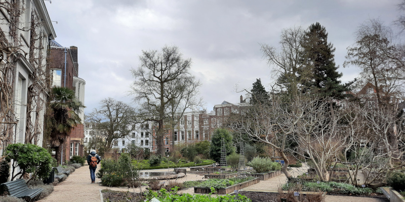 Snippendaaltuin in Hortus Botanicus Amsterdam