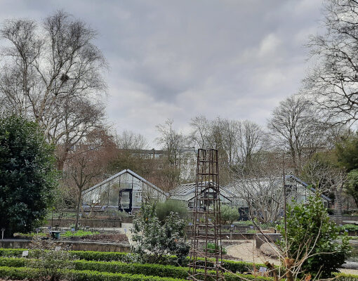 Kassen en heggetjes in Hortus Botanicus Amsterdam