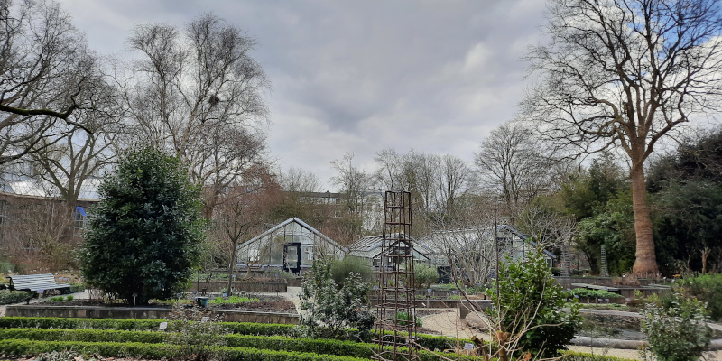 Kassen en heggetjes in Hortus Botanicus Amsterdam