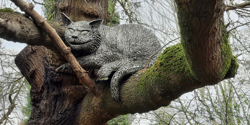 Lewis Carroll's Cheshire Cat in tree in Oxford Botanic Garden