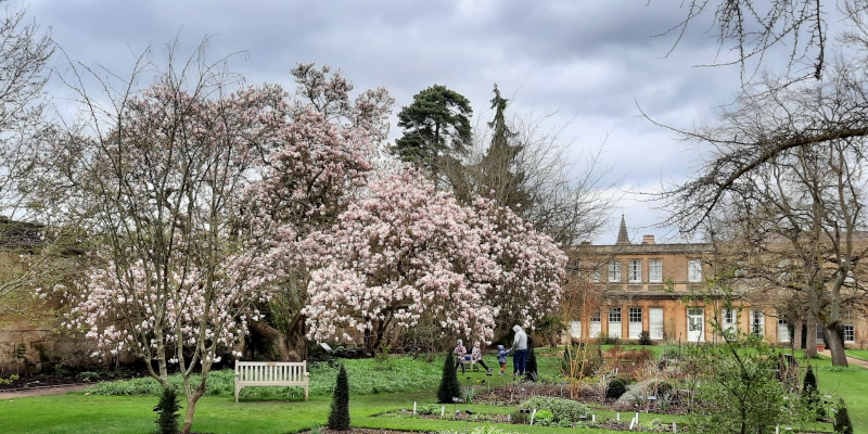 Japan and Medicinal Plants Borders, Oxford Botanic Garden