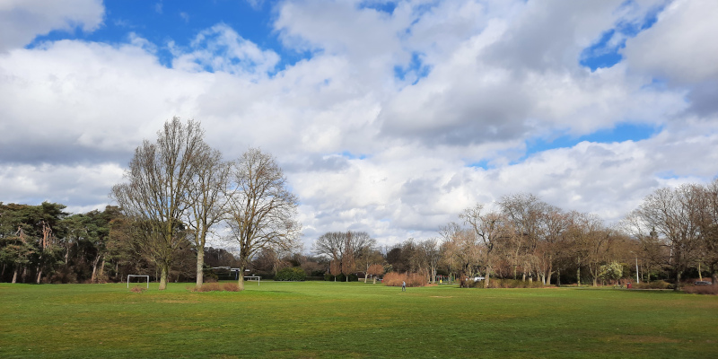 Speelweide in het Goffertpark in Nijmegen