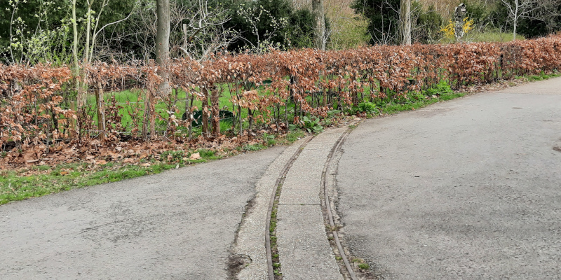 Rails van voormalig minitreintje in Goffertpark in Nijmegen