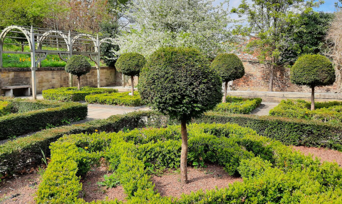 Tudor knot garden in William Turner garden, Morpeth, UK.