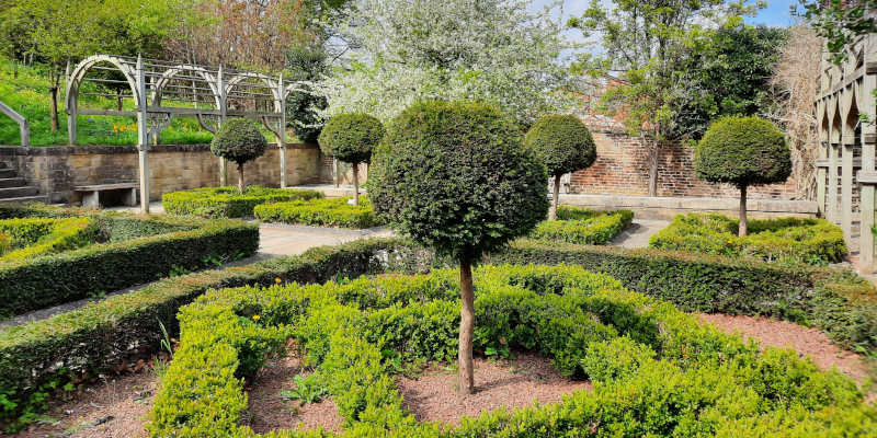 Tudor knot garden in William Turner garden, Morpeth, UK.