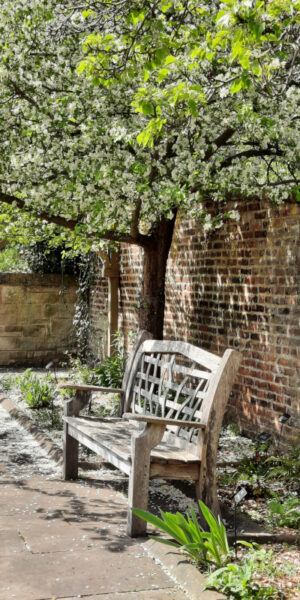 Bench in William Turner garden.