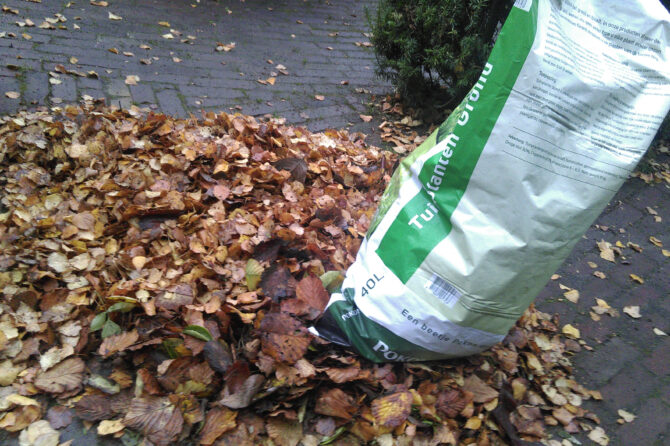 Bladaarde maken