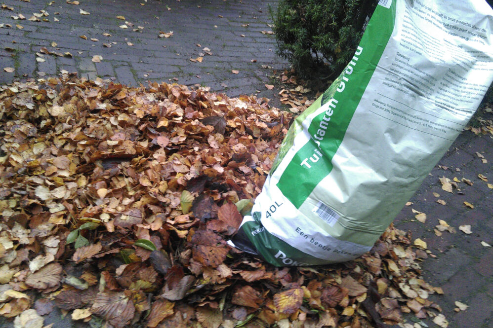 Bladaarde maken