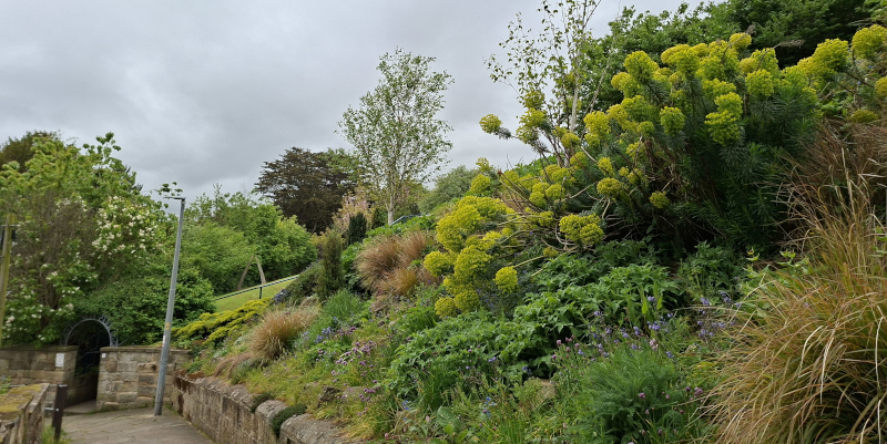 Steep slope in Pannett Park, Whitby