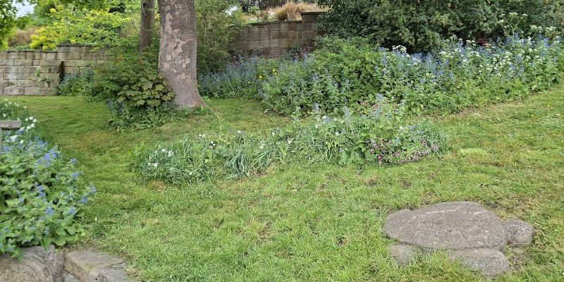 Te Honu turtle, South Seas Garden, Pannett Park, Whitby