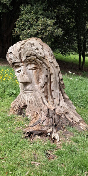 Wood sculpture in Pannett Park
