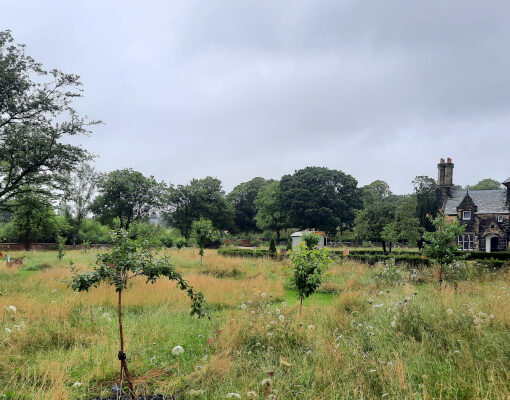 RHS BGarden Bridgewater: boomgaard en tuinmanswoning