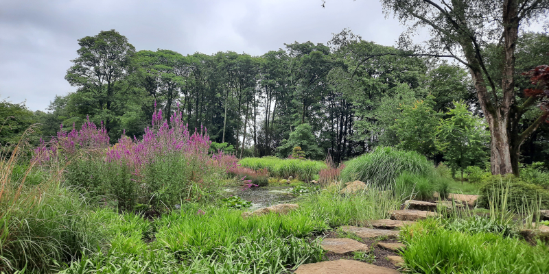 Chinese Streamside Garden in RHS Garden Bridgewater