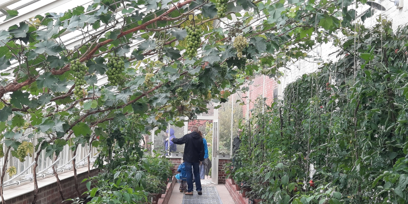 Fruitkas in Paradise Garden van RHS Garden Bridgewater