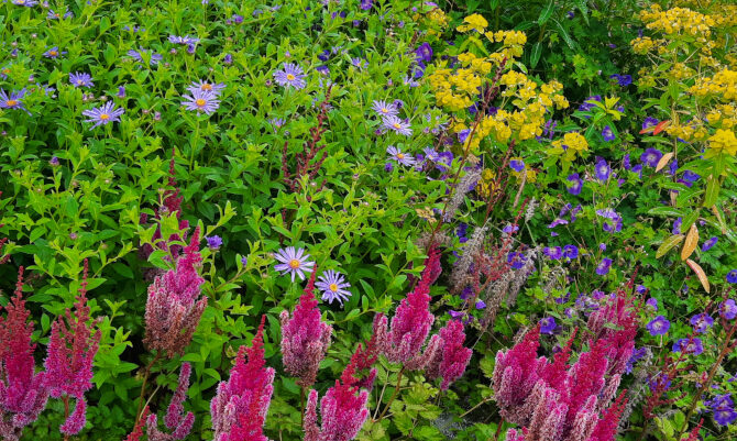 Planten in Paradise Garden in RHS Garden Bridgewater