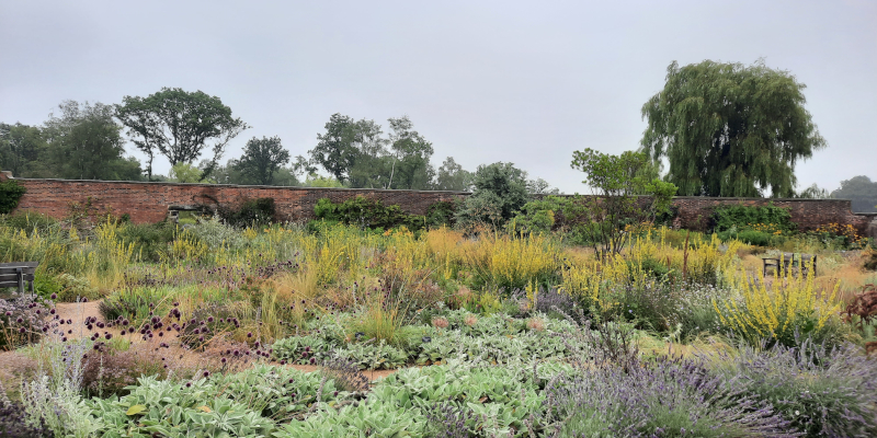 Mediterrane planten in Paradise Garden van RHS Garden Bridgewater.