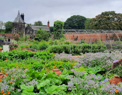 RHS Garden Bridgewater: de Kitchen Garden en de tuinmanswoning