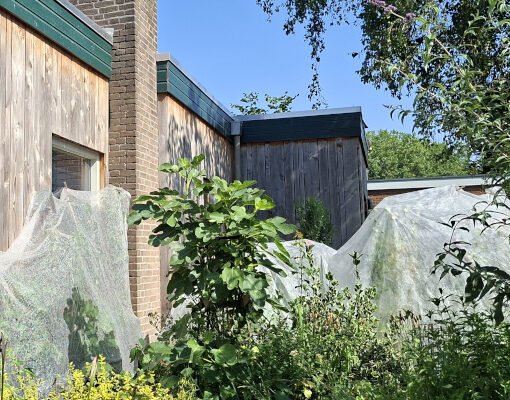 Met vliesdoek bedekte planten in zonnige tuin
