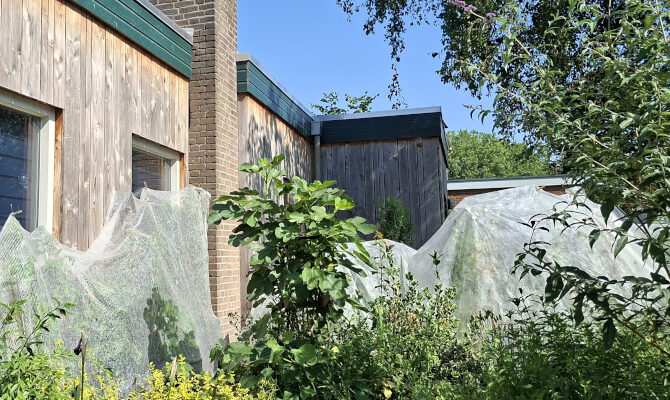 Met vliesdoek bedekte planten in zonnige tuin