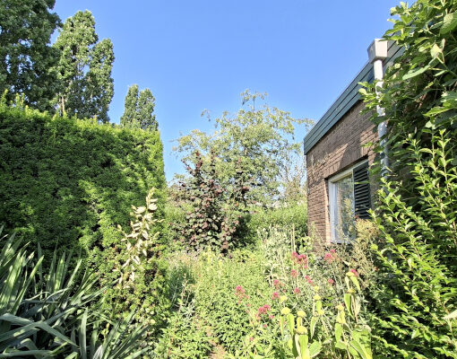 Aaneengesloten tuinbeplanting op een zomerse dag