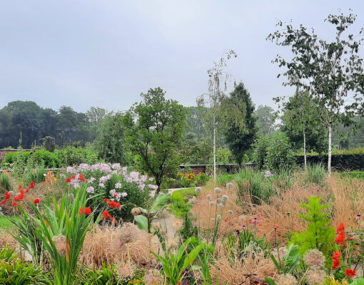 RHS Garden Bridgewater Wellbeing Garden