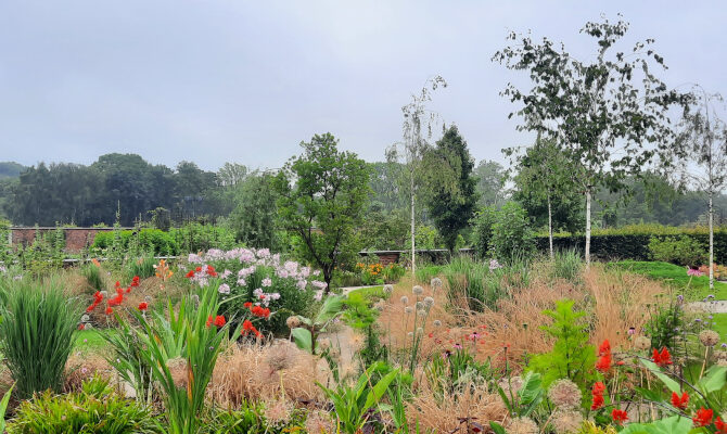 RHS Garden Bridgewater Wellbeing Garden