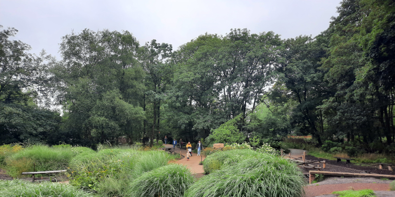 RHS Garden Bridgewater: Woodland Paly