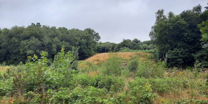 Worsley New Hall voormalige terrassen, juli 2023