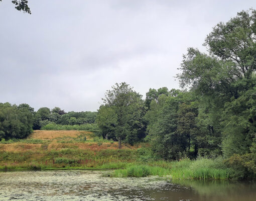 Locatie van Worsley New Hall, situatie juli 2023