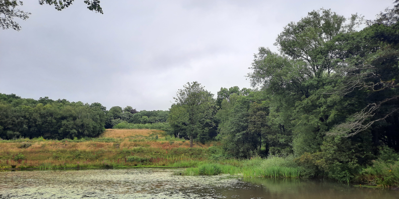 Locatie van Worsley New Hall, situatie juli 2023