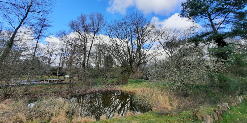 Voedselarm ven in Educatieve Natuurtuin Goffert