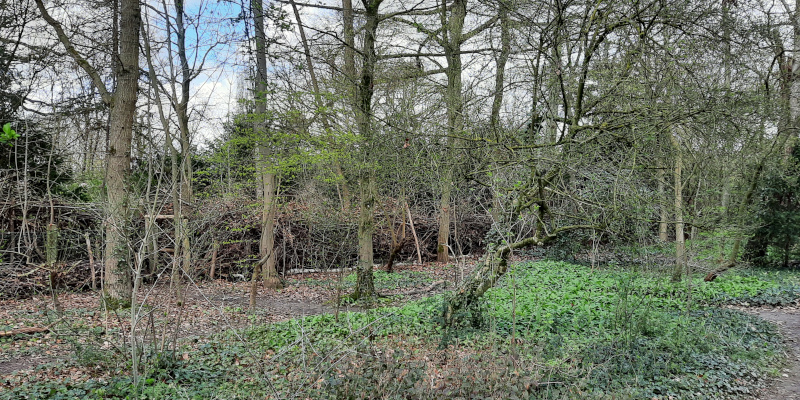Rijk struweel in Educatieve Natuurtuin Goffert