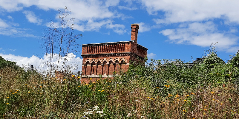 St Pancras Waterpoint en wilde bloemen